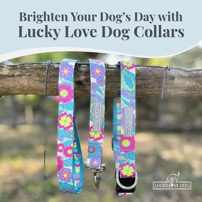 Lucky Love Dog Collars, Cute X-Small Dog Collars for Female Dogs, Part of Purchase Donated to Rescue, Caroline, Extra Small