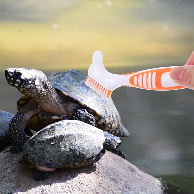 PRETYZOOM Turtle Shell Cleaning Brush for Aquatic Tortoise, Small Portable Mud Dirt Remover Brush, Orange Multi-Functional Turtle Care Tool for Reptile Health Maintenance