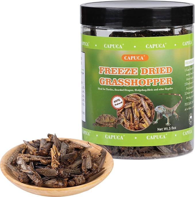 Dried Grasshoppers for Reptiles - All Natural High Protein Insect Treats for Bearded Dragons, Turtles, Geckos, Lizards, Hedgehogs & Birds (3.5oz)