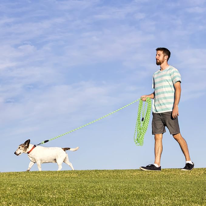Long Dog Leash for Training 30Ft-Reflective Nylon Rope with Swivel Hook-Recall Agility Lead for Large Small Medium Dogs Outside Walking Hiking-Green Diam 1/2"