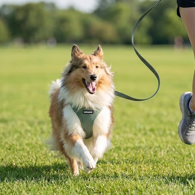 Best Pet Supplies Voyager Step-in Air All Weather Mesh Harness and Reflective Dog 5ft Leash Combo with Neoprene Handle, for Small, Medium and Large Breed Puppies - Set (Moss Green), X-Small