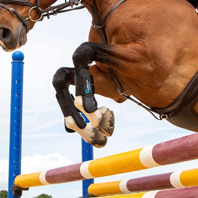 Shires ARMA Tendon Boot