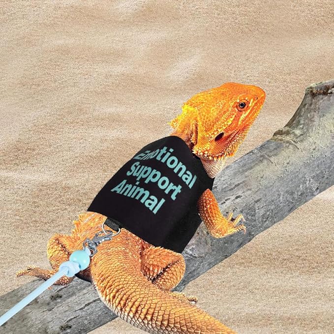 DONGKER Bearded Dragon Harness and Leash Set,Self-Adhesive Adjustable Lizards Walking Training Harness Escape Proof with 4.4ft Nylon Leash for Outdoor Indoor Walking