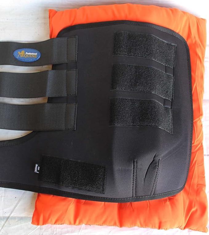 Horse Stable Shipping Boots Wraps Front Rear 4 Pack Leg Hoof Care Orange 4120OR