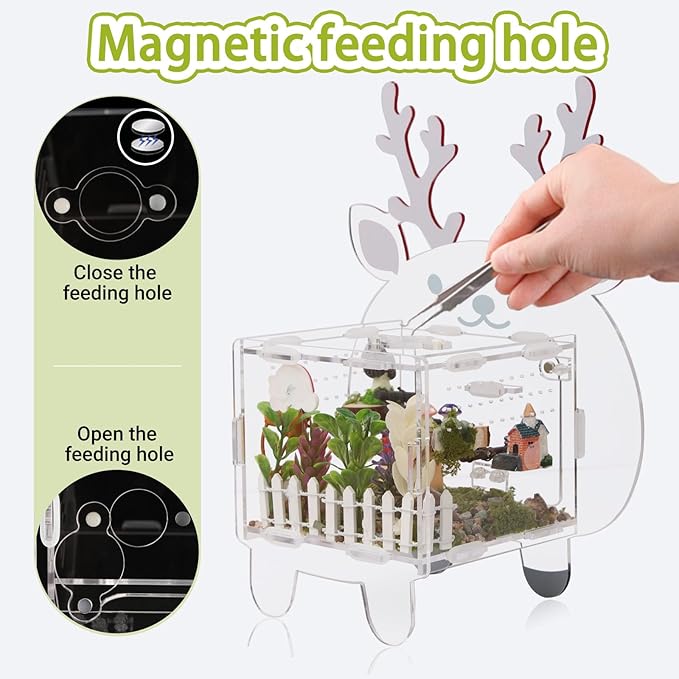 Acrylic Jumping Spider Enclosure with Magnetic Door - 4.7"x4.7"x3.5" Escape-Proof Habitat, Front Opening Terrarium for Tarantula, Reptiles & Insects