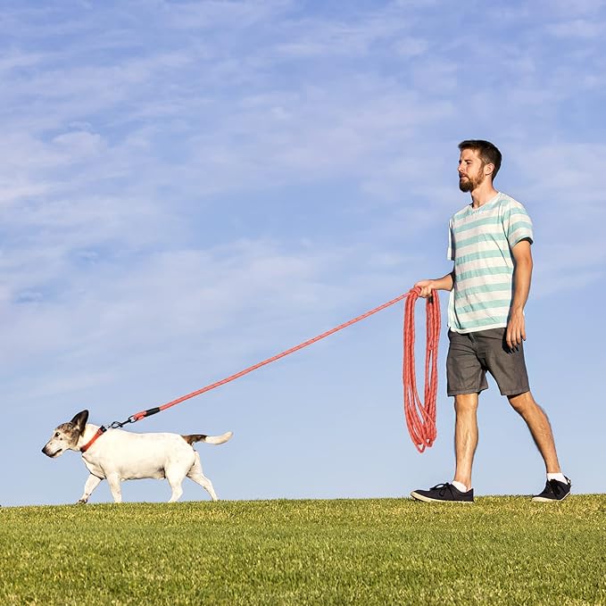 Long Dog Leash for Training 50Ft-Reflective Nylon Rope with Swivel Hook-Recall Agility Lead for Large Small Medium Dogs Outside Walking Hiking-Orange