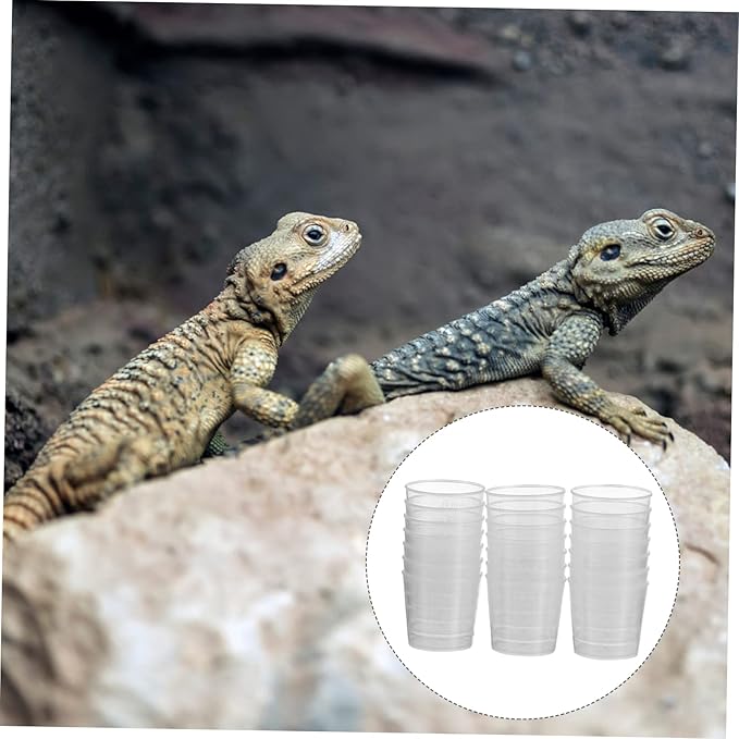 Yardwe 40pcs Reptile Feeder Cups Measuring Bowls for and Lizard Feeding Compact Food and Water Cups for Reptile Tank Care