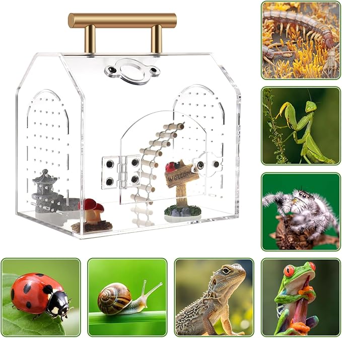 Jumping Spider Enclosure kit, Acrylic Tarantula Enclosure with Wooden Bridge, Mushroom, Pagoda Pond, Road Signs, Insect Terrarium with Handle and Magnetic Door, No Assembly Required (Medium)