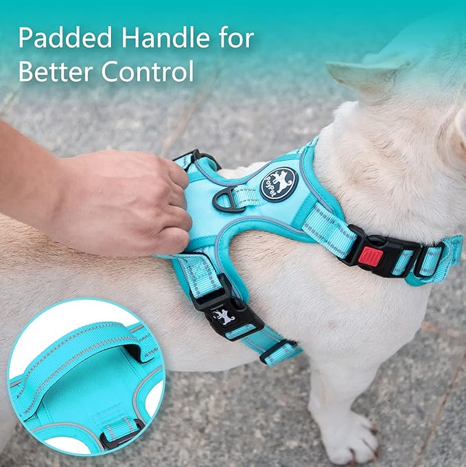 PoyPet No Pull Dog Harness, No Choke Reflective Dog Vest, Adjustable Pet Harnesses with Easy Control Padded Handle for Small Medium Large Dogs(Mint Blue Matching Trim,L)