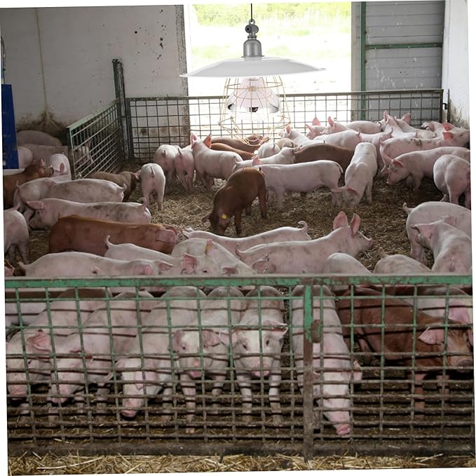 BESPORTBLE Piglet Heat Lamp Poultry Heat Lamp Poultry Heat Preservation Lamp Pet Warming Light Breeding Heating Lamp Poultry Breeding Warm Lamp Heat Preservation Light Pet Heat Lamp Plastic