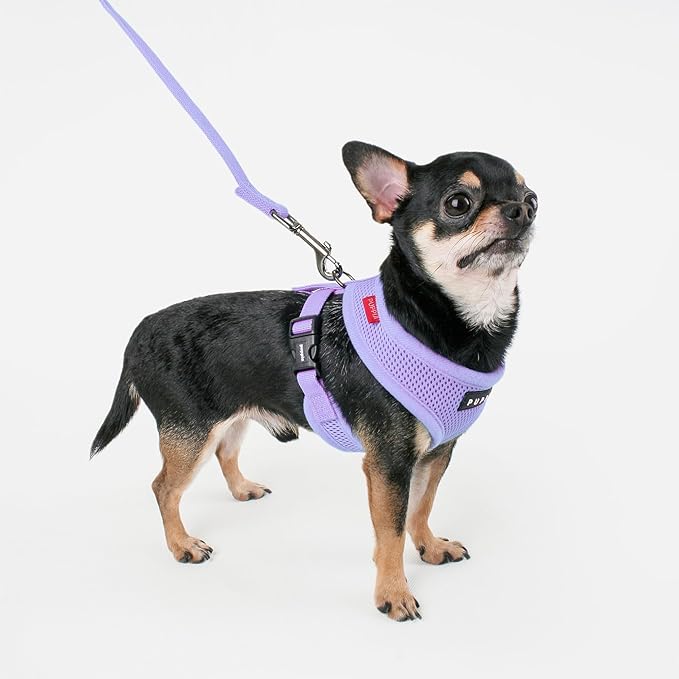 Puppia Soft Dog Harness No Choke Over-The-Head Triple Layered Breathable Mesh Adjustable Chest Belt and Quick-Release Buckle, Violet, X-Small