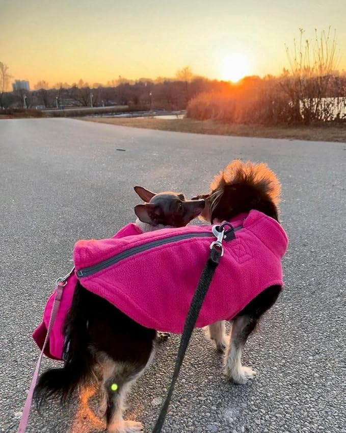 Gooby Zip Up Fleece Dog Sweater - Red, Small - Warm Pullover Fleece Step-in Dog Jacket with Dual D Ring Leash - Winter Small Dog Sweater - Dog Clothes for Small Dogs Boy and Medium Dogs
