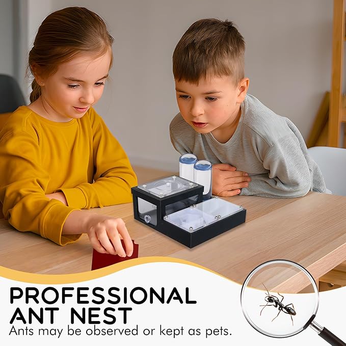 Ant Farm Nest - Educational Habitat - Black and White Acrylic Design with Built-in Water Tower and Clear Observation Area (M)