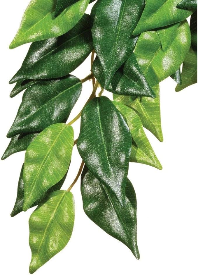 Exo Terra Silk Terrarium Plant, Medium, Ficus