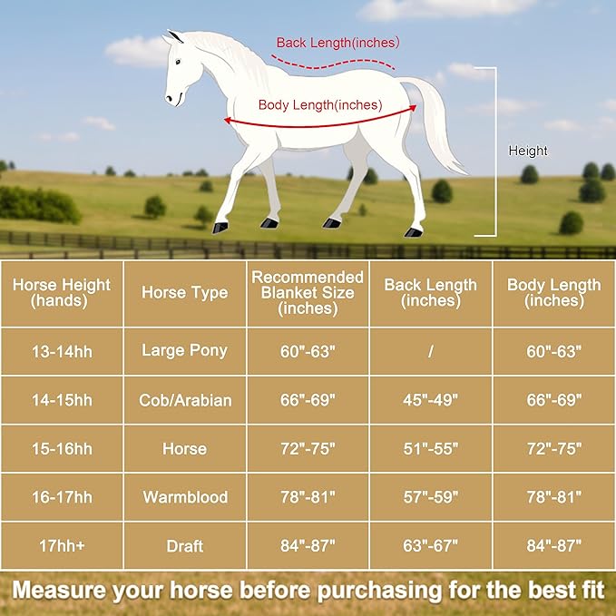 Horse Fleece Cooler, Blanket Liner - 300g Anti-Pilling Fleece, Moisture-Wicking, Cooling & Drying for Post-Workout, Bath & Travel, Prevent Overheating & Chilling Navy 69