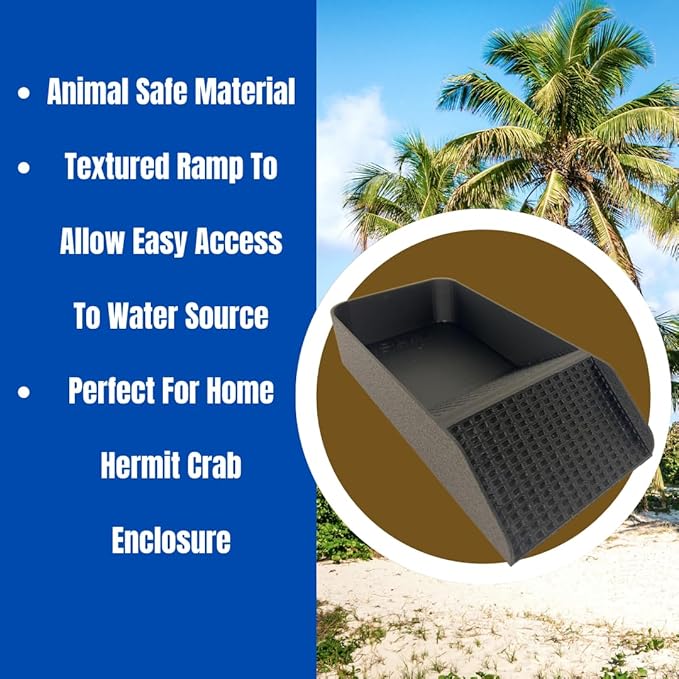 Chatelet Hermit Crab, Lizard, Turtle, Amphibian XL Watering Pool | Platform Pool Accessory with Access Ramp for Pet Habitats | 9.75" x 5" | Made in USA (X-Large) (Salt Only, Black)