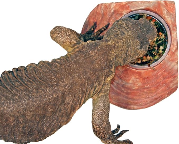 Healthy Herp Veggie Mix Instant Meal for Reptiles - Nutritious Bearded Dragon Accessories, Bearded Dragon Food - Made in USA - Quick Prep, Ideal for Box Turtles, Lizards, Tortoises - 7.5 oz (212g)