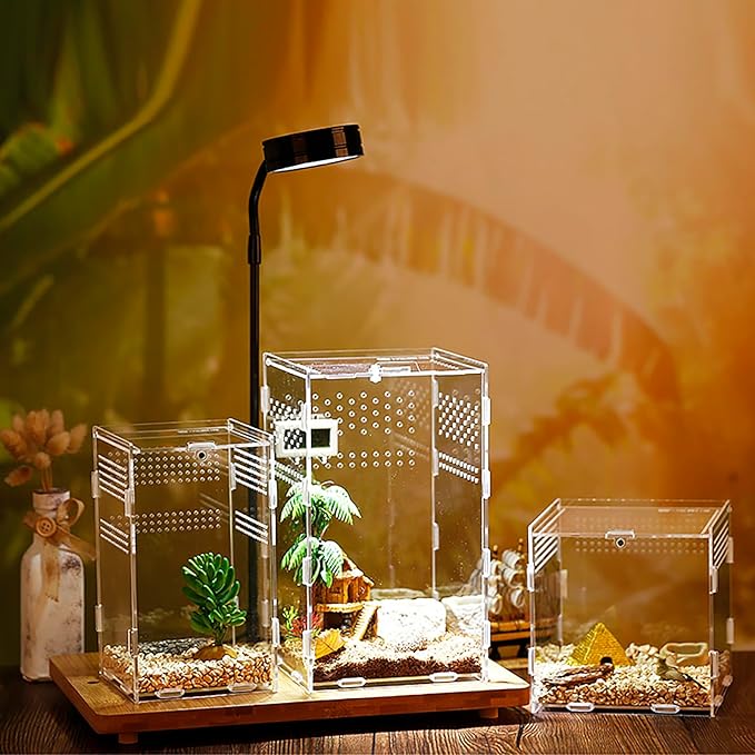 Mini Reptile Terrariums Tank, Tarantula Enclosure, Chameleon cage, Amphibians Habitat Cages for Small Reptiles, Geckos, Snakes, Lizards, Turtles, Serpents -Acrylic(4.7 * 4.7 * 8 inchs)