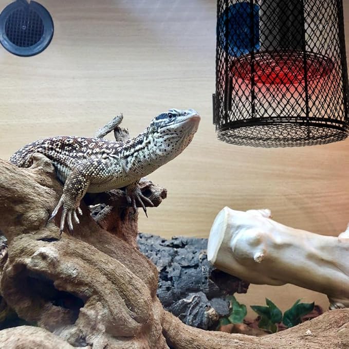 Reptile Heating Lamp Shade, Anti-Scald Heat Lamp Shade, Metal Reptile Lampshade for Lizard Turtle Birds Chick