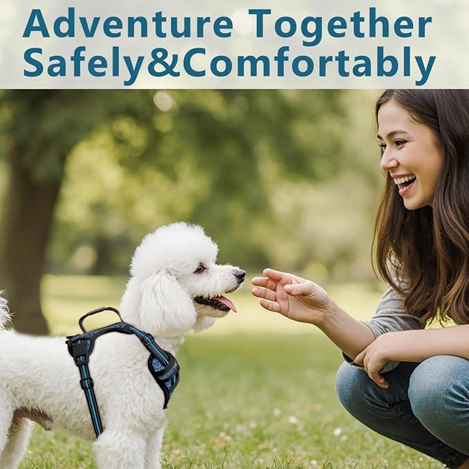 BARKBAY Dog Harness No Pull with ID Tag Pocket - Heavy Duty, Reflective, Easy Control for Small Dogs(Blue/Black,S)