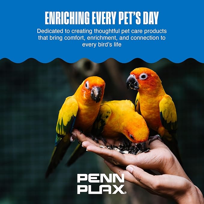 Penn-Plax Bird-Life E-Cuttlebone Original, 3 Pk (2 Count Each) - Durable, Less Brittle Cuttlebones Enriched with Omega 3, Honey & Vitamin B1 -Easy Mounting, Cage Clip - Great for All Bird Sizes -White