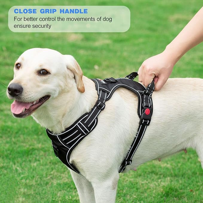 tobeDRI No Pull Dog Harness Adjustable Reflective Oxford Easy Control Medium Large Dog Harness with A Free Heavy Duty 5ft Dog Leash (S (Neck: 13"-18", Chest: 17.5"-22"), Pink Harness+Leash)