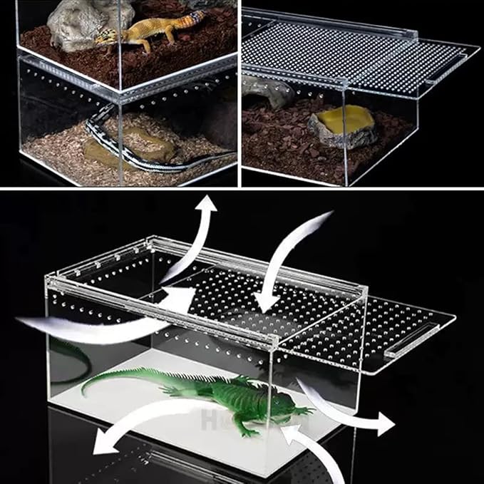 Insect breeding Box Reptile Feeding Box, Waterproof Enclosure Enclosure for arboreal Tarantula Scorpion Sling Lizards Snake Gecko Jumping Spider Snail Isopods, Reptile breeding Box (8x6x4 Inch) ???