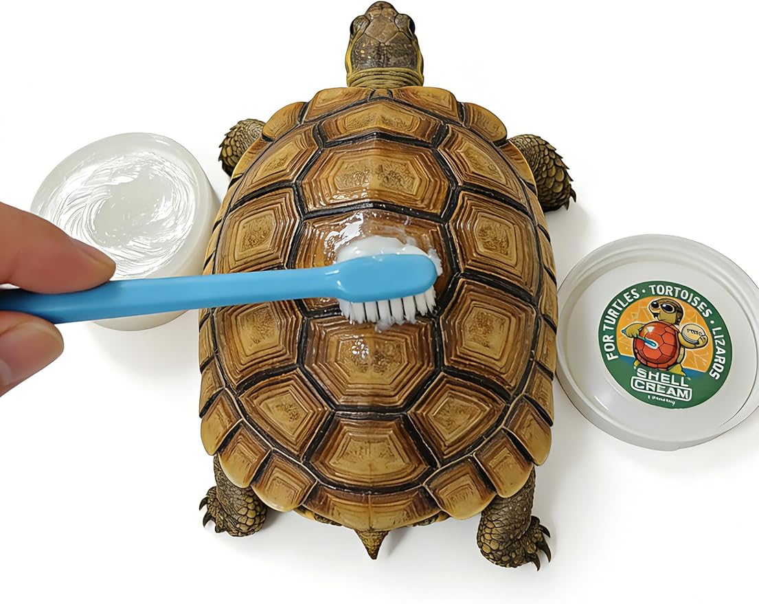 2Pcs Turtle Shell Balm, Reptile Shell Care Conditioner Moisturizer for Tortoise Lizard Reptiles, Essential Turtle Accessories, Skin Relief & Dryness Prevention for Tortoise, Lizard & All Reptiles