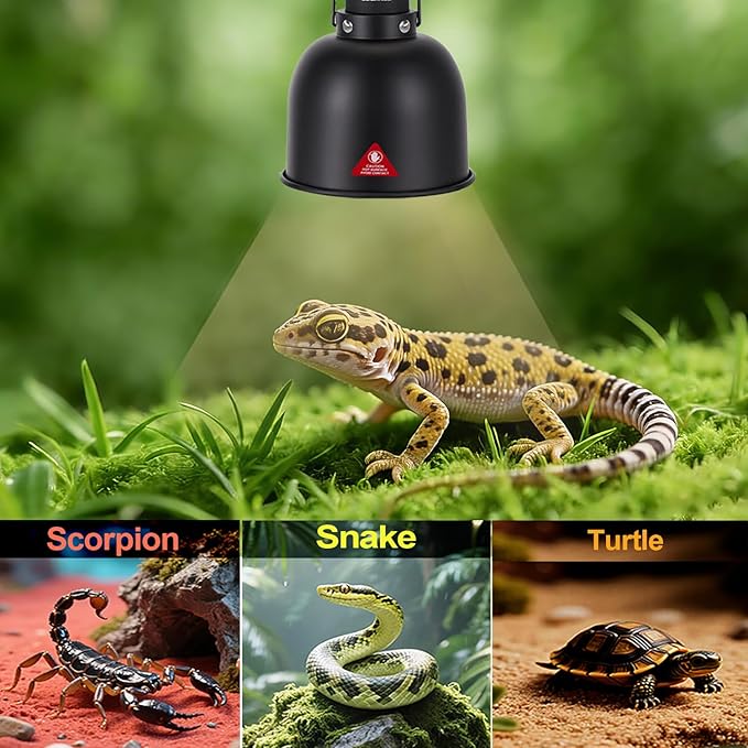 5.5in Deep Dome Reptile Lamp 150w,Dome Reptile Heat Lamp Fixture 150w with Switches Fit for Reptile Heat Bulb uvb,Reptile Heat Lamp Domee 150ww for Amphibian Reptile for Turtles Snake