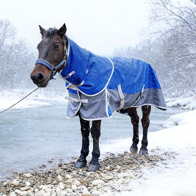 Horse Blankets Winter for Real Horses, 1600D Waterproof Poly Rain Sheets 78 in with Neck Cover Belly Wrap Tail Wrap Turnout Blanket, Stuff Care Medium Large Weight Heavy Outdoor Clothes Red Black