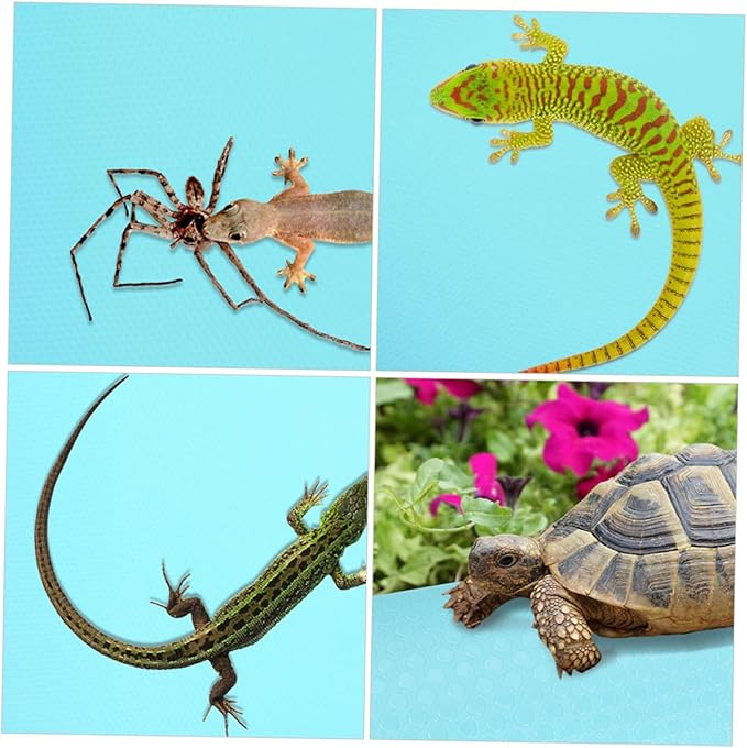 COLLBATH Reptile Carpet Mat for Terrarium Bedding Non-Adhesive Substrate for Lizards Snakes Tortoises and Bearded Dragons Extra Safe and Comfortable
