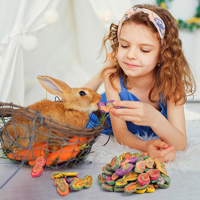 KATUMO Rabbit Chew Treats - 560g Mixed Natural Timothy Hay Pumpkin Carrot Beet Chew Toys for Rabbit Guinea Pig Hamster Bunny Chinchilla Gerbil Small Rodent Pets