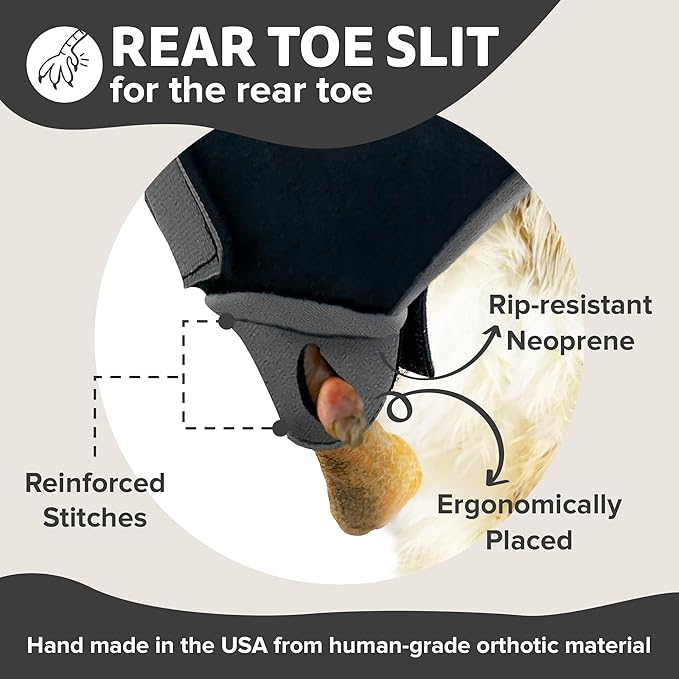 Duck Shoes for Injured Feet – Protective Neoprene Footwear for Ducks, Protective Shoes for Birds with Injured feet, Bumblefoot Relief - Medium, 3.5” Max. Inside Width - Gray