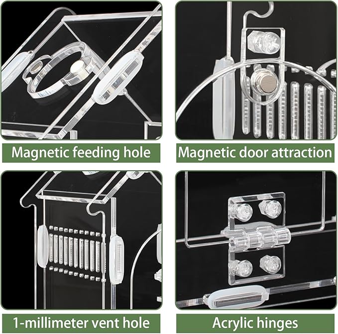 Magnetic Acrylic Spider Enclosure Kit - 5.9"x3.9"x5.1" Escape-Proof Terrarium for Jumping Spiders, Tarantulas & Mantis with Secure Magnetic Door & Ventilation