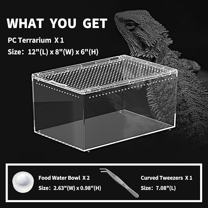 Reptile PC Terrarium 12" x 8" x 6", Tarantula Enclosure,Spider Tank Starter Kit, Hermit Crab Habitat,Lizard Enclosure,Insect Housing,Jumping Spider Cage