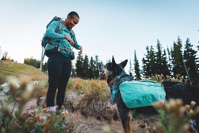 Ruffwear, Front Range Dog Collar, Adjustable Tubelok Webbing, Lightweight, Side Release Buckle, Aluminum V-Ring, Durable for Everyday Use, Red Canyon, 20"-26"