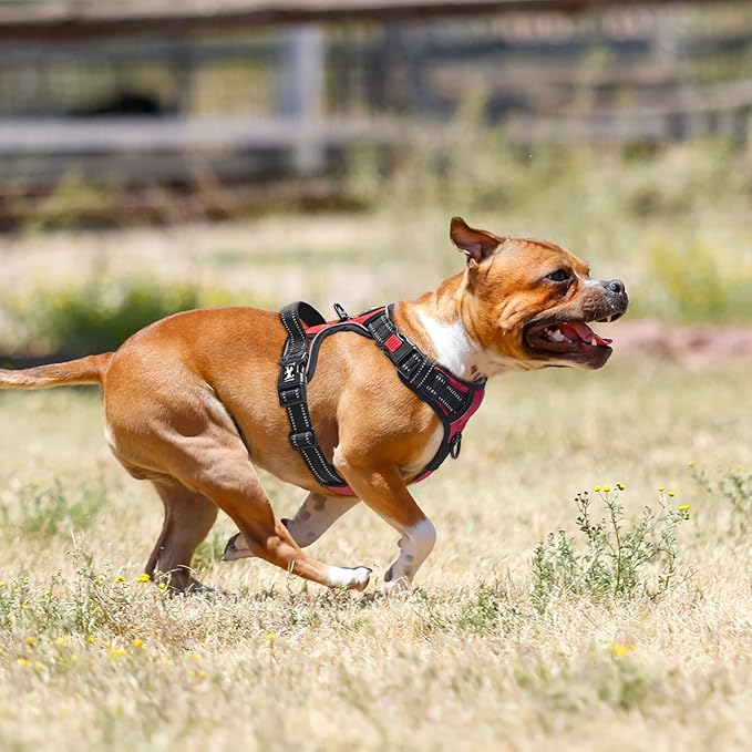 PoyPet No Pull Dog Harness, No Choke Front Clip Dog Reflective Harness, Adjustable Soft Padded Pet Vest with Easy Control Handle for Small to Large Dogs(Red,S)