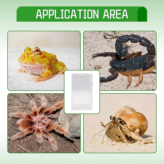 Acrylic Reptile Terrarium 4.7''x4.7''x7.8'' Micro Transparent Habitat Tarantulas Cage Jumping Spider Enclosure for Small Reptile Insect Office Home