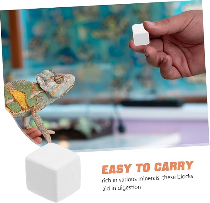 BESPORTBLE 6pcs Mineral Block Chew Toy for Birds Reptiles Turtles Pets Nutrient Source for Health Digestion and Immune Support