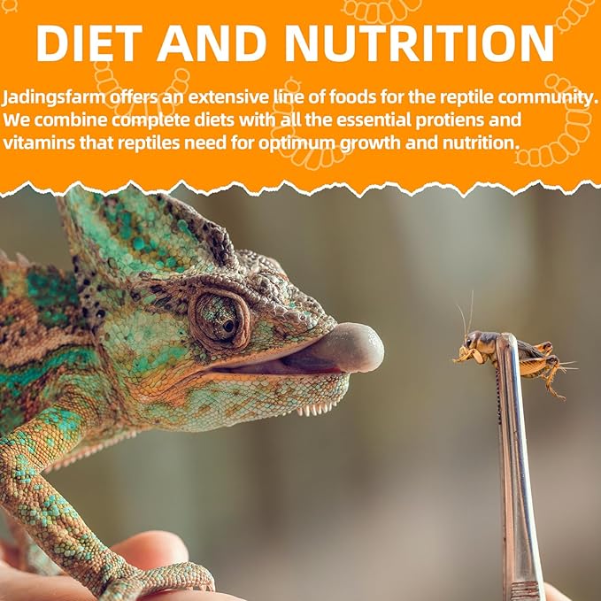 6 Pack Canned Crickets for Reptiles, Fish, Birds and Small Animals, Crickets, Healthy High Protein Treat, Reptile Bird Fish Food 7.2 Ounces Total
