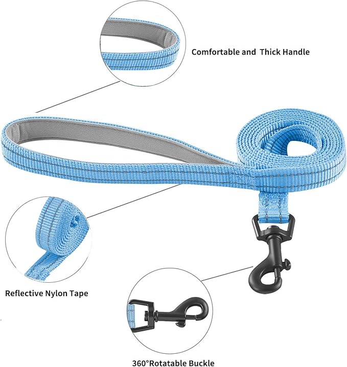 Hipubby Dog Harness and Leash Set, No Pull Soft Mesh Puppy Harness for Small Medium Dogs, Cats - Step in Reflective Breathable Lightweight Vest Harness for Walking, Training - Blue, L