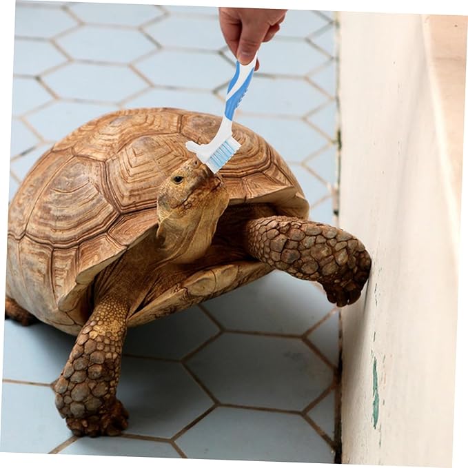 BESPORTBLE 2pcs Turtle Shell Cleaning Brush Multi-Functional Mud Remover for Aquatic Tortoise Shell Flexible Double-Headed Design for Easy Use and Care