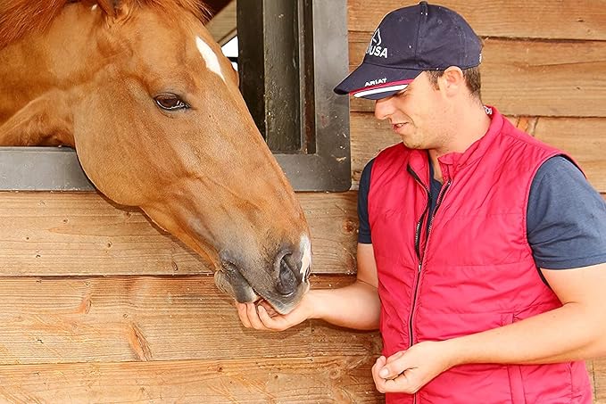 Horses Treats - Low Sugar, Starch, and Carbohydrates | Healthy Treats for Horse Supports Superior Digestion 15 Pound Bucket (Pack of 1)