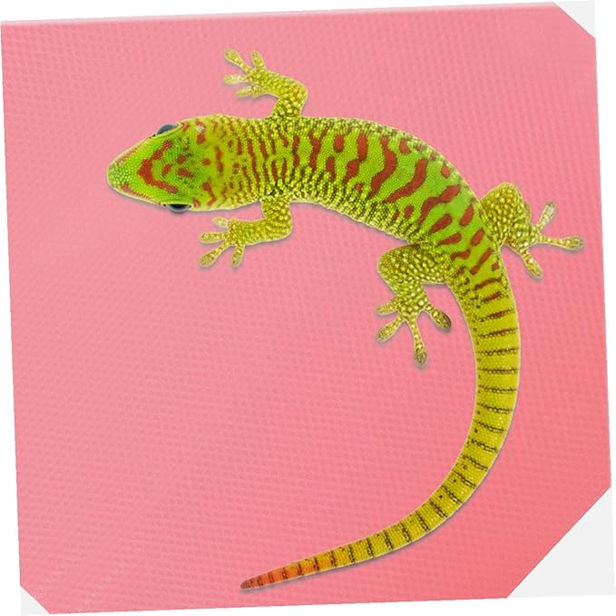 DOITOOL Leopard Gecko Terrarium Mat Reptile Substrate Carpet for Bearded Dragon Lizard Snake Tortoise EVA Non-Stick Breathable Bedding Liner