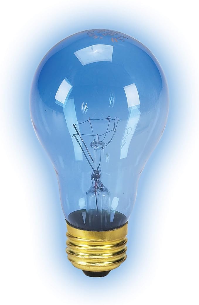 Day Blue Incandescent Bulb