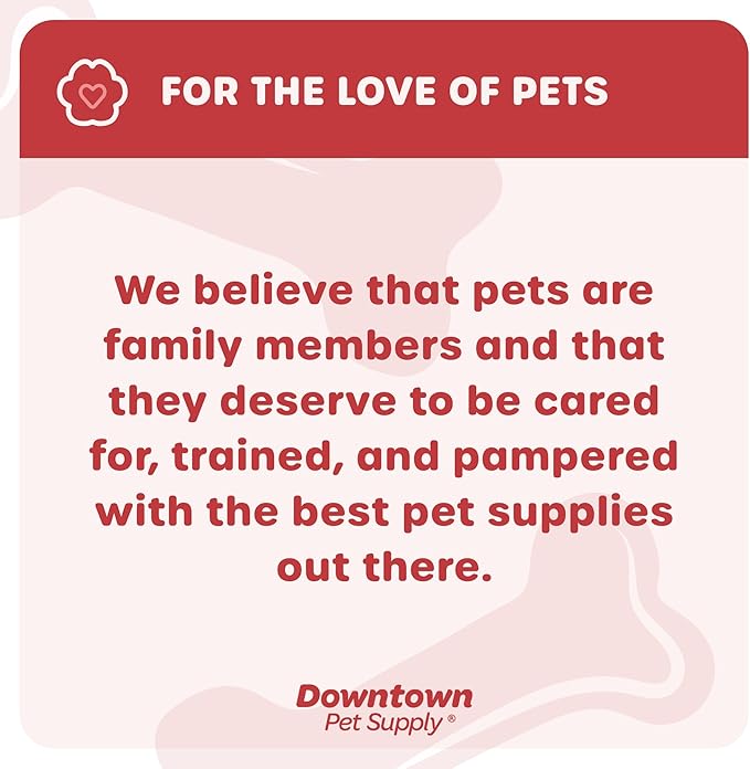 Downtown Pet Supply Comfort Crate Mat | Soft Fleece Pet Bed - Machine Washable, Easy to Clean - Light Blue/Charcoal - 24 x 18 in for Small Dogs or Cats