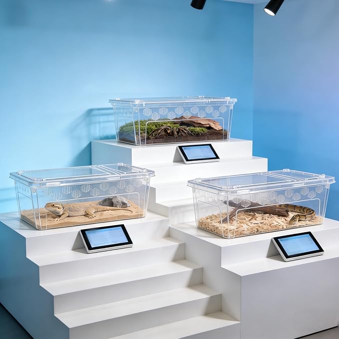 3Pcs Reptile Feeding Box Set, 3-Size Plastic Reptile Critter Keeper with Tags, for Isopods Snails Sling Geckos Frog Spiders Turtles Scorpion Serpents Tarantulas and Breeding Worms(Clear)