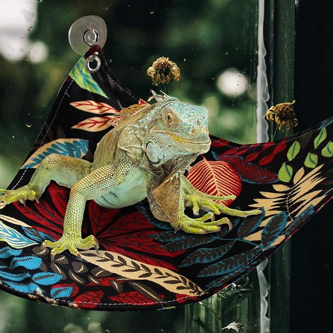 KUDES Bearded Dragon Hammock, Reptile Lizard Lounger Ladder Accessories Terrarium Habitat Decor for Large Small Bearded Dragons Geckos Lizards Snakes (Black)