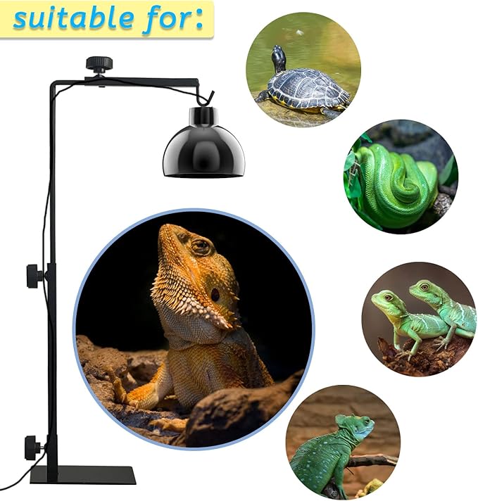 kathson Reptile Lamp Stand Adjustable Metal Floor Lamps Bracket Reptiles Tank Heating Light Support for Bearded Dragon Snakes Tortoise Lizards Frog Hermit Crab (1 PCS)