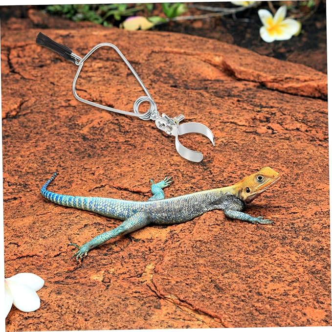 Sosoport Turtle Heat Lamp Clamp Reptile Lamp Holder Clamp Light Stand Easy Install